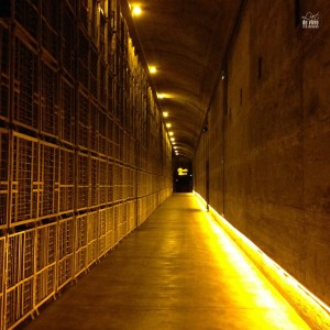 visite des caves Lanson