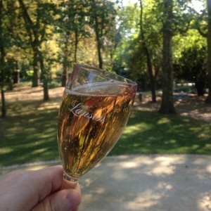 Dégustation de l'extra âge brut rosé au parc de la patte d'oie