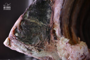 il y a une sorte de noblesse dans cette viande que l'on a laissé maturer longuement avec soin.