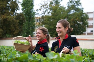 une partie de l'équipe Lanson qui nous a accueillis
